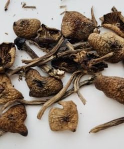 Wavy Caps Magic Mushrooms