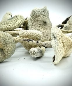 White Teacher Magic Mushrooms
