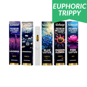 Buy Binoid - Active Flowers Disposable Vape Pen - 3g in australia online
