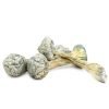 Buy Albino Treasure Coast Magic Mushrooms In Australia Online