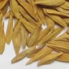 Buy Strophanthus Gratus Seeds online in Australia