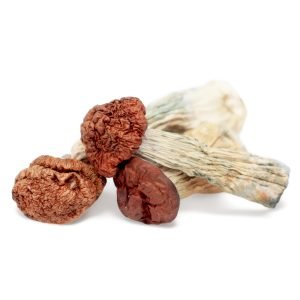 buy Blue Meanie Magic Mushrooms in australia online