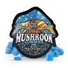 Blue Raspberry Magic Mushroom Gummies For Sale Australia