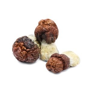 Buy Bluey Vuitton Magic Mushrooms In Australia Online