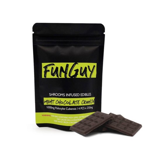 FunGuy Mint Chocolate Crunch Bar For Sale Online Australia