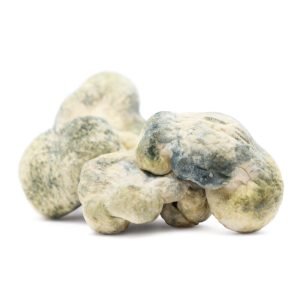 Buy Burmese Magic Mushrooms Online Australia
