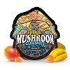 Juicy Mango Magic Mushroom Gummies For Sale In Australia Online