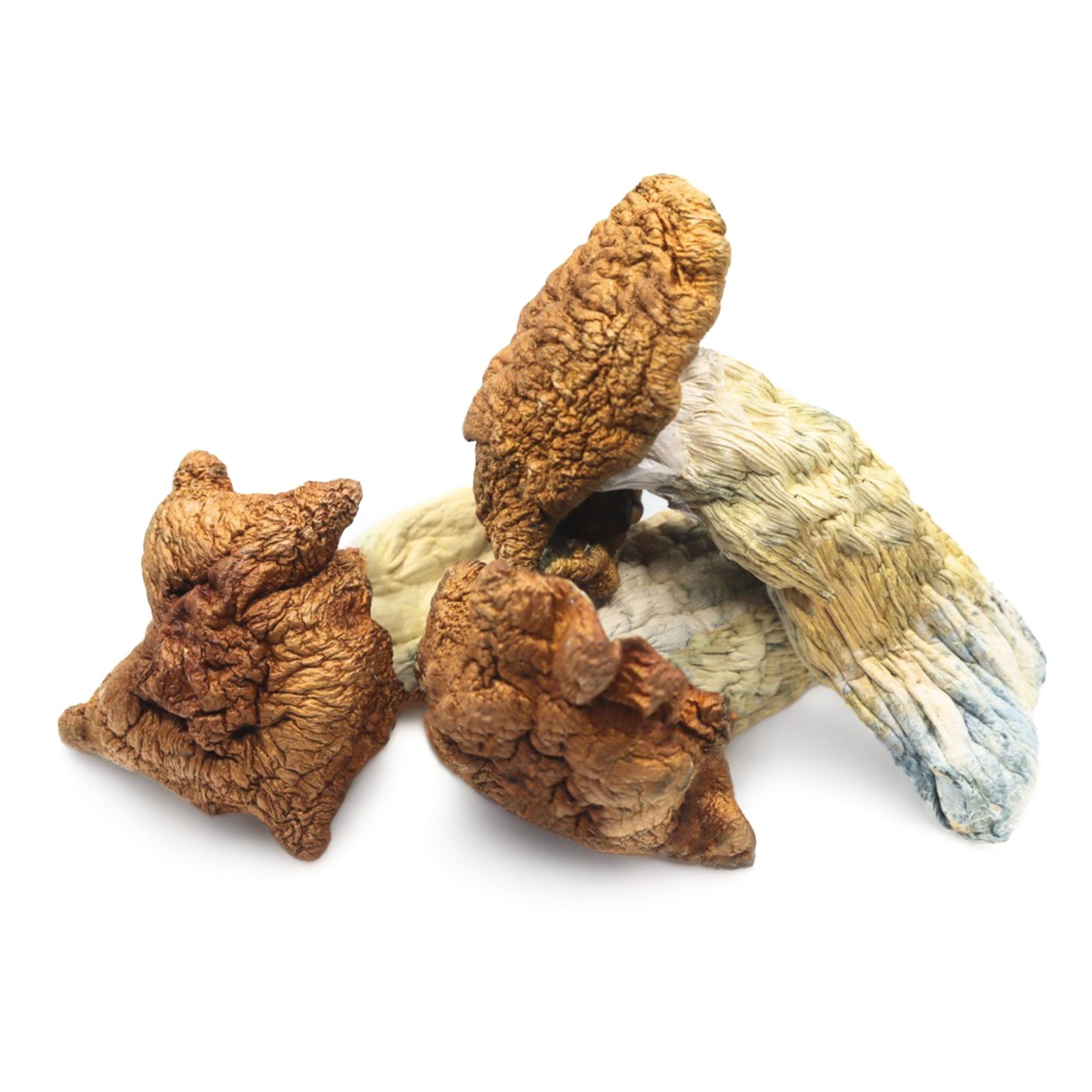 King Kong Magic Mushrooms For Sale In Australia