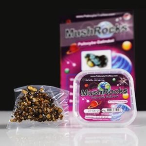 Alternative view of Mushrocks Truffles