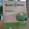 Peyote Seeds For Sale Online Australia 