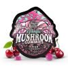 Sour Cherry Magic Mushroom Gummies For Sale In Australia Online