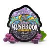 Buy Sour Grape Magic Mushroom Gummies in Australia Online