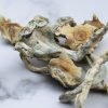 Treasure Coast Magic Mushrooms For Sale Online Australia