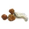 Buy Trinity Magic Mushrooms In Australia Online