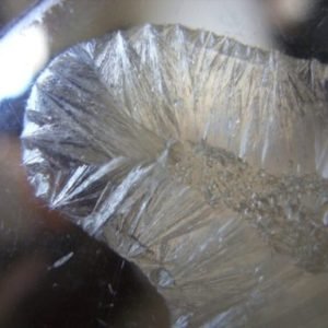 Pure Mescaline HCI For Sale In Australia Online